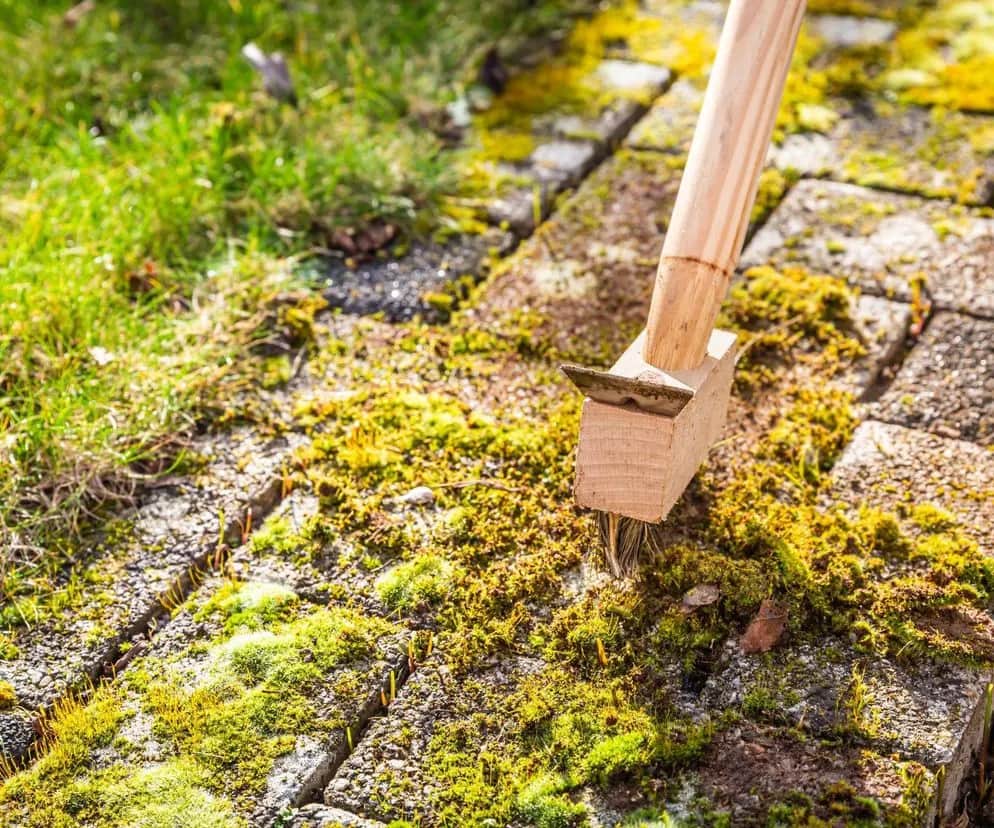 Jak zlikwidować mech na kostce brukowej - skuteczne metody i porady