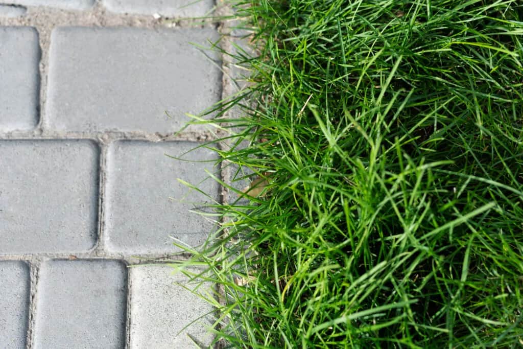 Jak ułożyć obrzeża z kostki brukowej bez błędów i zyskując efektowny wygląd